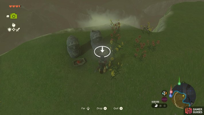 Korok Seed