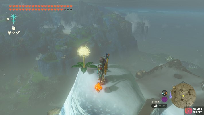 Korok Seed