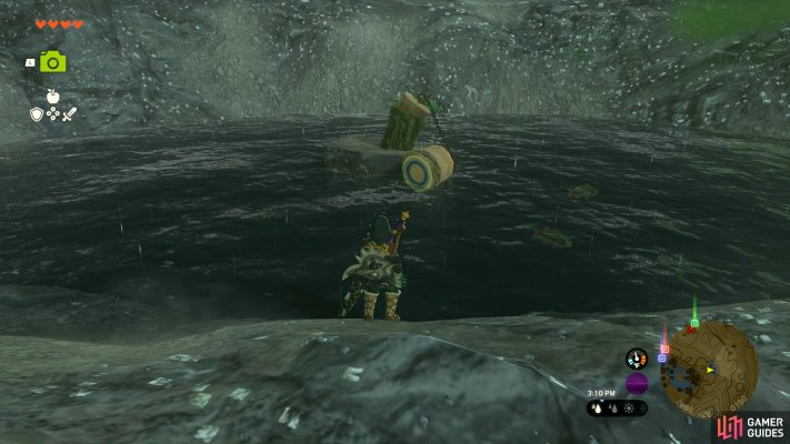 Korok Seed