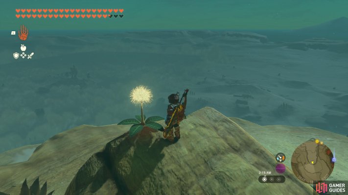 Korok Seed