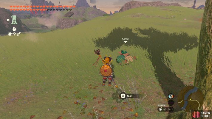 Korok Friends