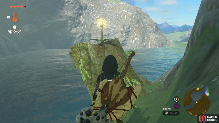 Korok Seed