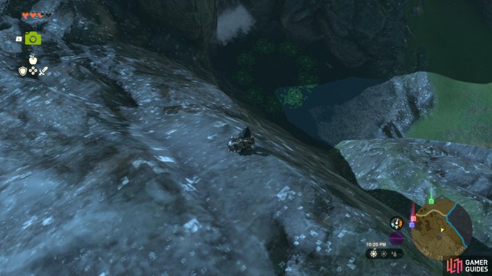 Korok Seed