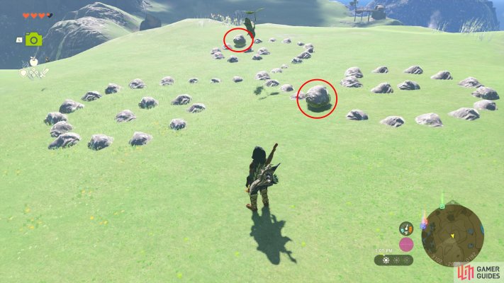 Korok Seed