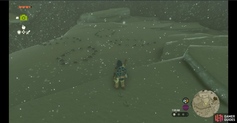 Korok Seed