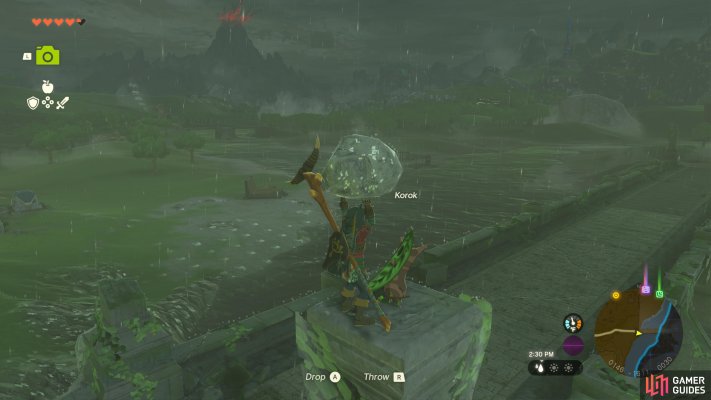 Korok Seed