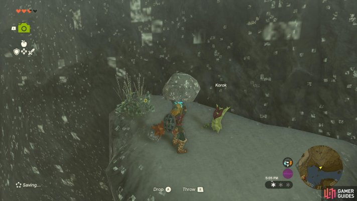 Korok Seed