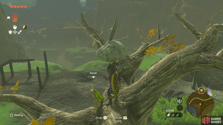 Korok Seed