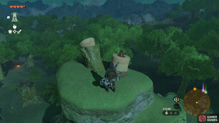 Korok Seed