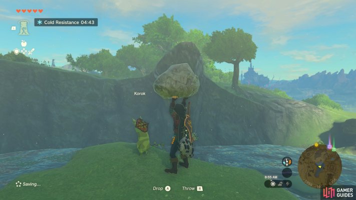 Korok Seed