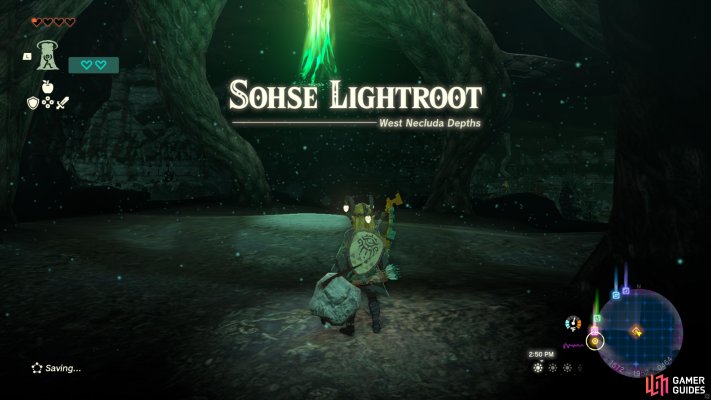 Sohse Lightroot