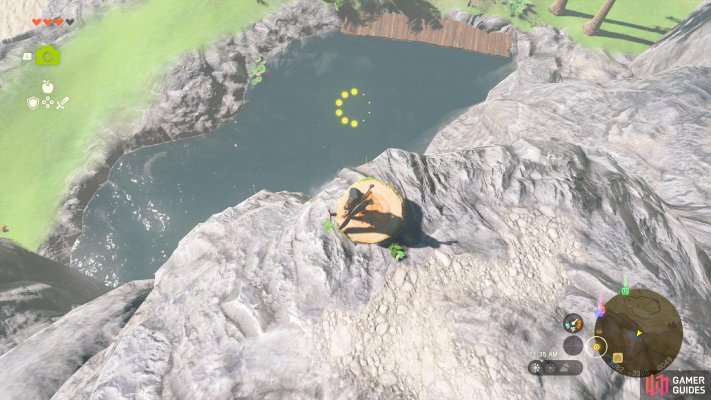 Korok Seed