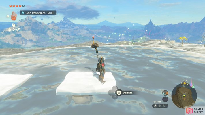Korok Seed