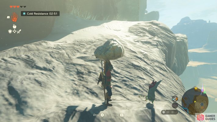 Korok Seed