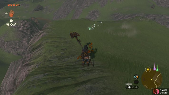 Korok Seed