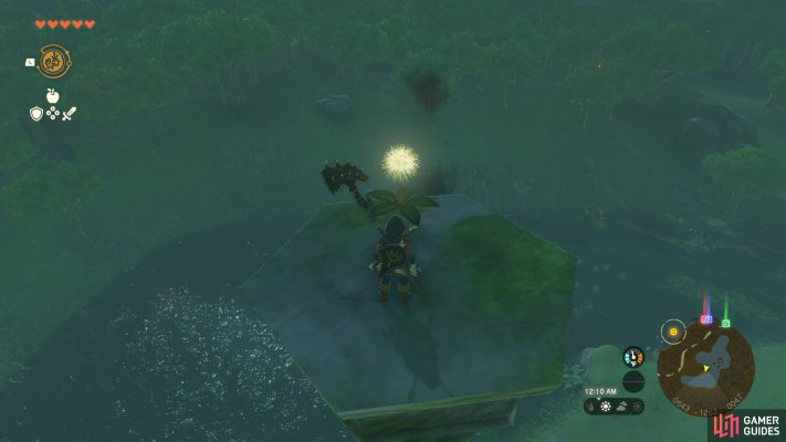 Korok Seed