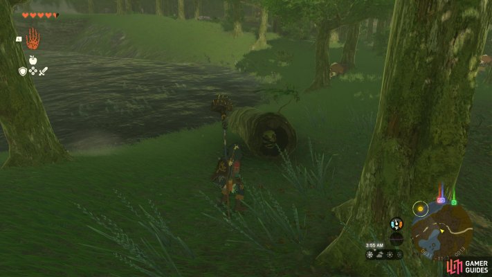 Korok Seed