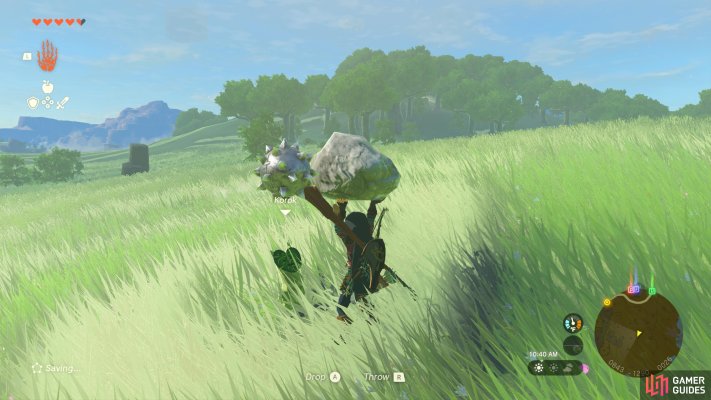 Korok Seed