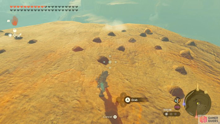 Korok Seed