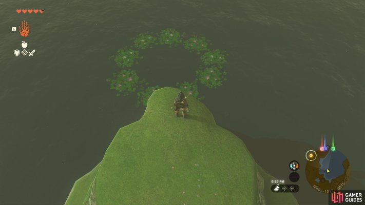 Korok Seed