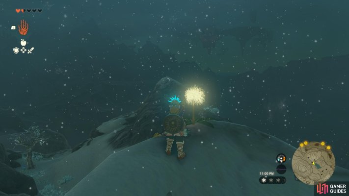 Korok Seed
