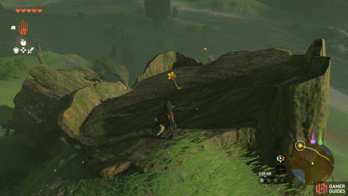 Korok Seed
