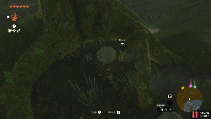 Korok Seed