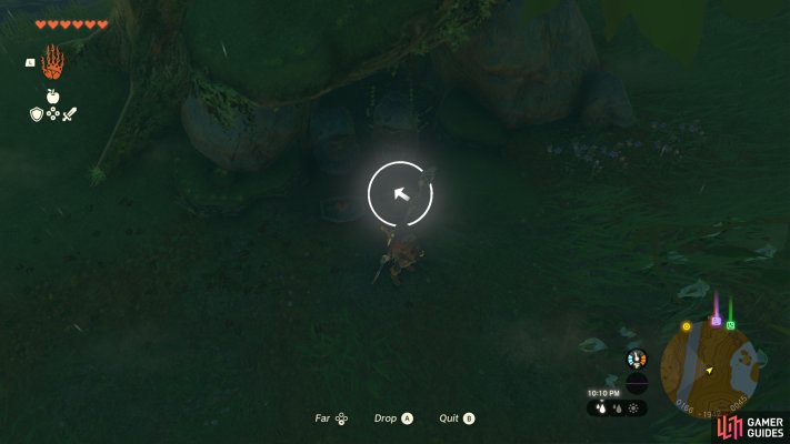 Korok Seed