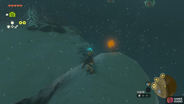 Korok Seed