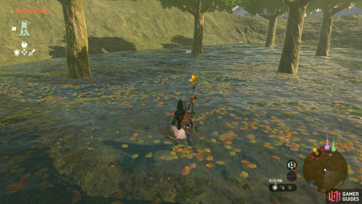 Korok Seed