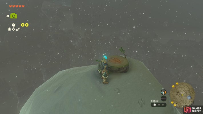 Korok Seed