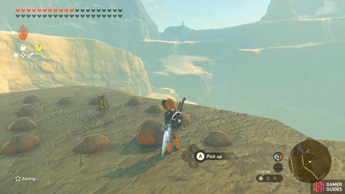 Korok Seed