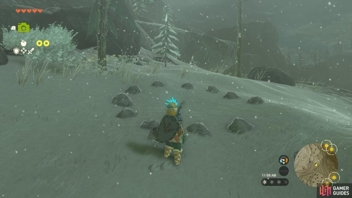 Korok Seed