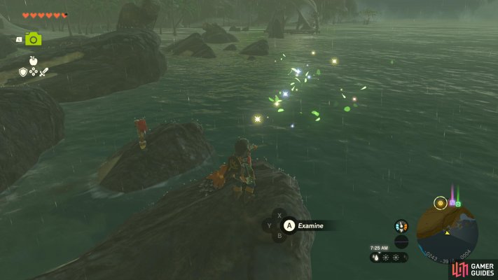 Korok Seed
