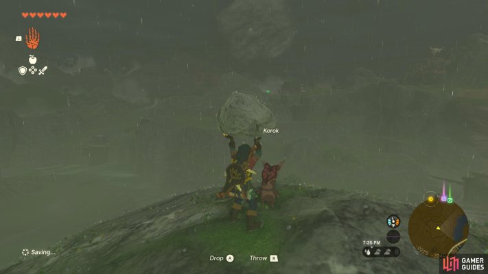 Korok Seed