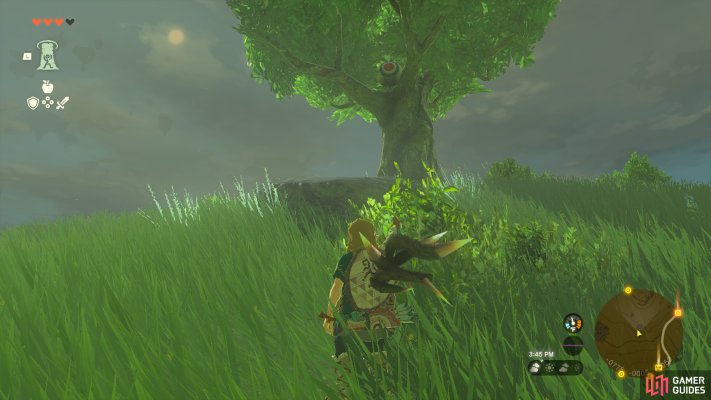 Korok Seed