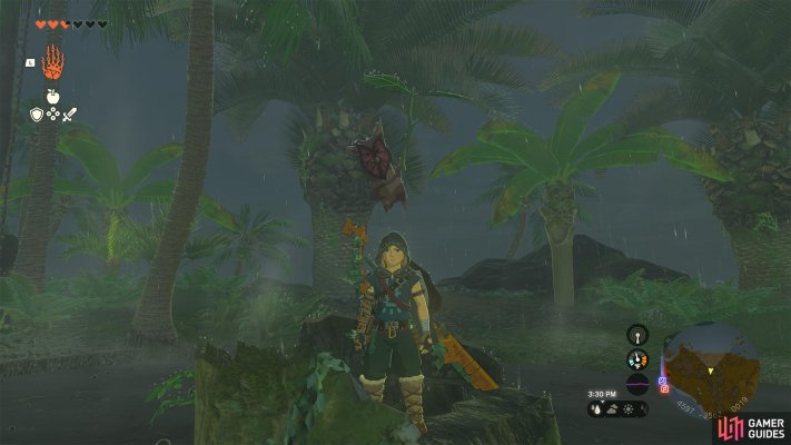 Korok Seed