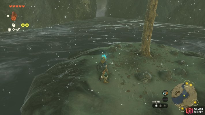 Korok Seed