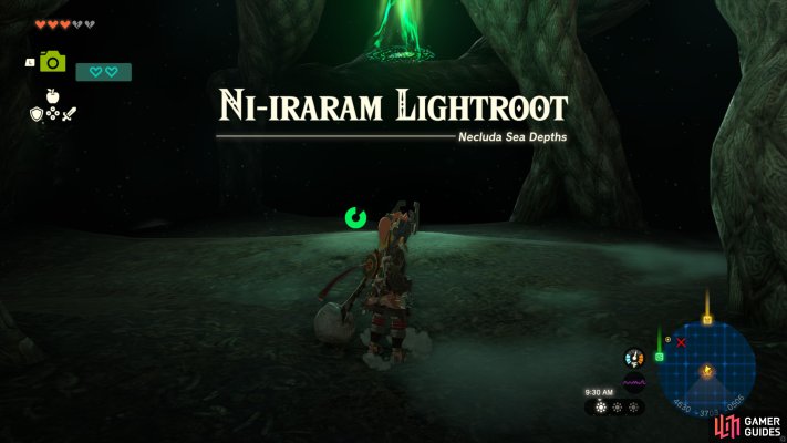 Ni-iraram Lightroot
