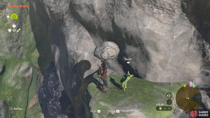 Korok Seed