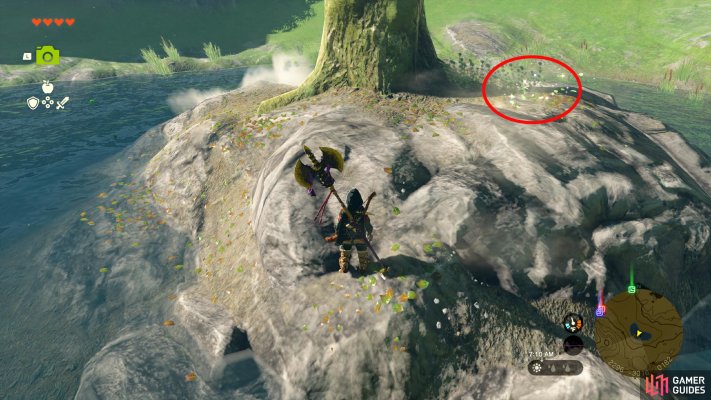 Korok Seed