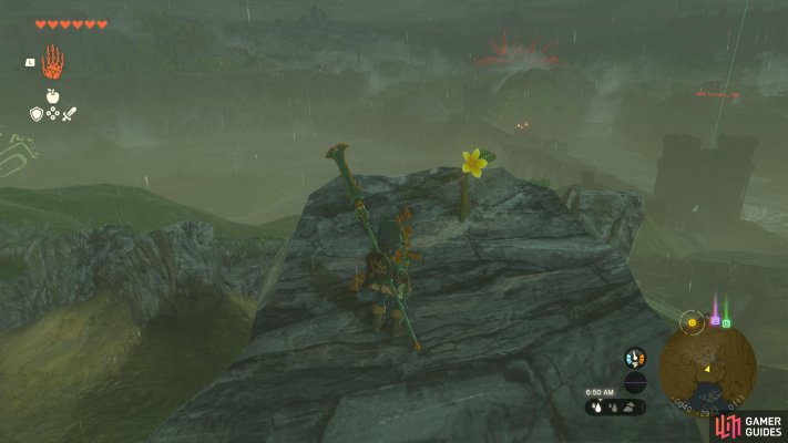 Korok Seed