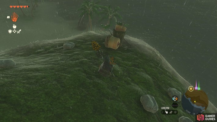 Korok Seed
