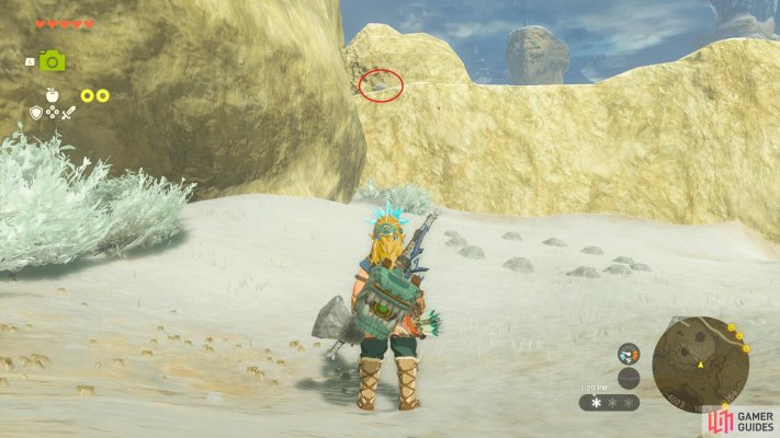 Korok Seed