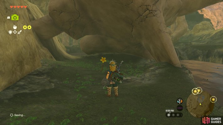 Korok Seed