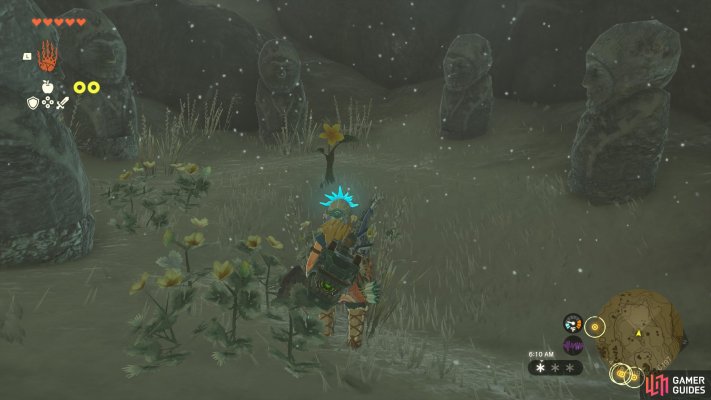 Korok Seed