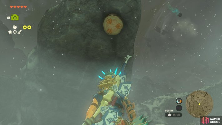 Korok Seed
