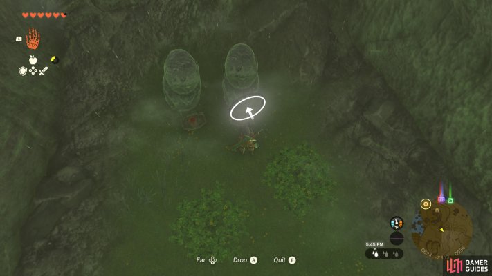 Korok Seed