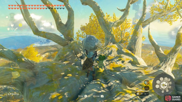Korok Seed