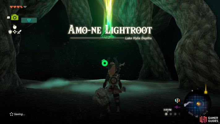 Amo-ne Lightroot
